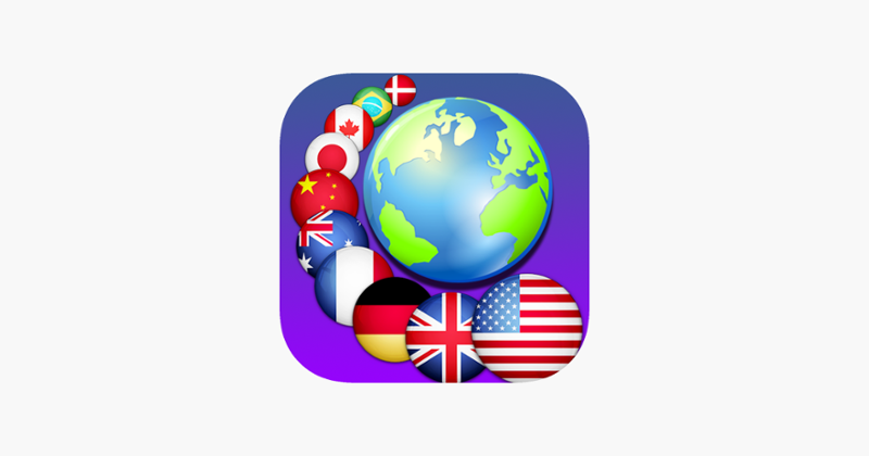 World Flags Puzzle Image