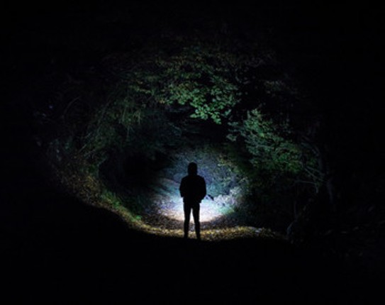 Eyes of the Forest Image