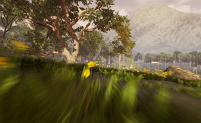 Winds Of A Fallen Soldier Image