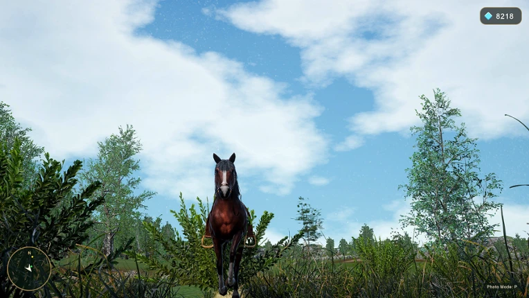 Horse Spirit Valley 2 screenshot