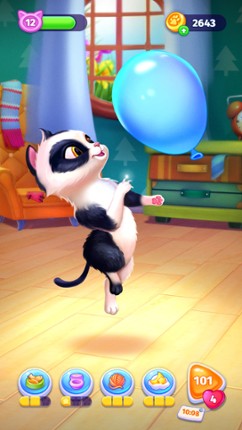 My Cat Image
