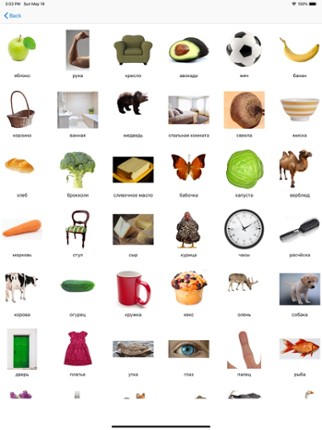 Russian Words (nouns) Image