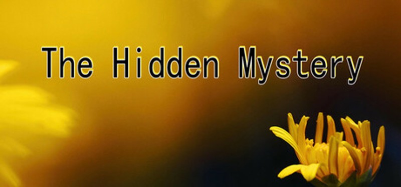 The Hidden Mystery Image