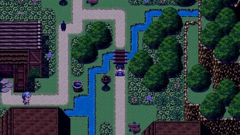 The Onyx Crown Image