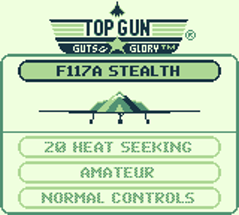 Top Gun: Guts and Glory Image