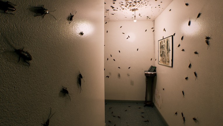 AUGUST NIGHT screenshot