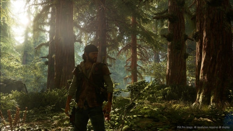 Days Gone screenshot