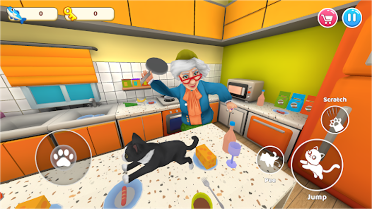 Cat Mayhem: Gran’s Angry Image