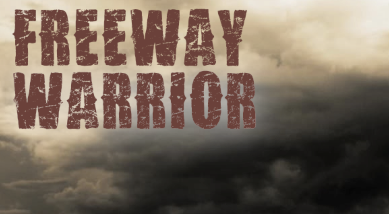 Games like Freeway Warrior