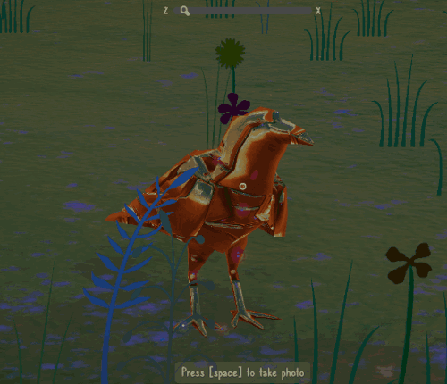Marvellous Bird Photography screenshot
