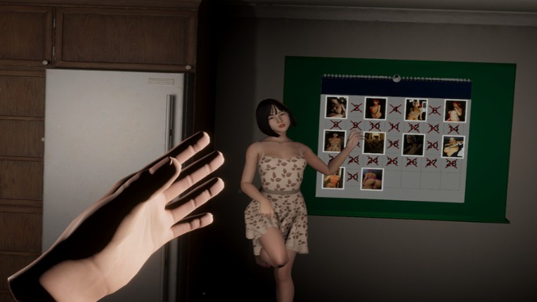 Japanese Mature: Sex Dreams screenshot