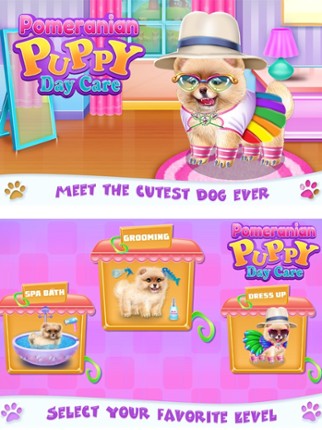 Pomeranian Puppy Day Care screenshot