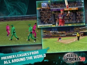 Real Cricket™ 20 Image