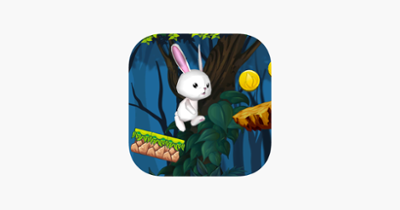 Super Rabbit Runner Image