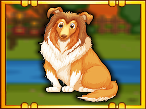 Bernese Mountain Dog Escape Game Cover