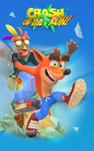 Crash Bandicoot: On the Run! Image