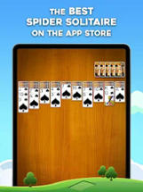 Spider Solitaire: Card Games Image