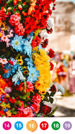 Magic Color | Paint by Number Image