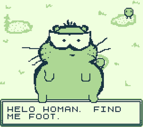 Hamster Footure Image