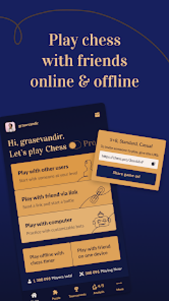 Chess.pro Image