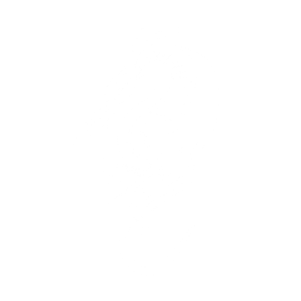 Meet My Team / Conheça minha equipe Image