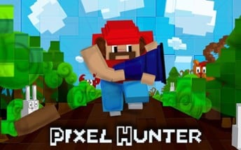 Pixel Hunter Image