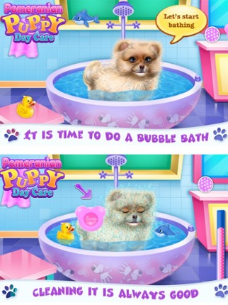 Pomeranian Puppy Day Care screenshot