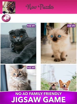 Princess Fairy Puzzle for Kids screenshot