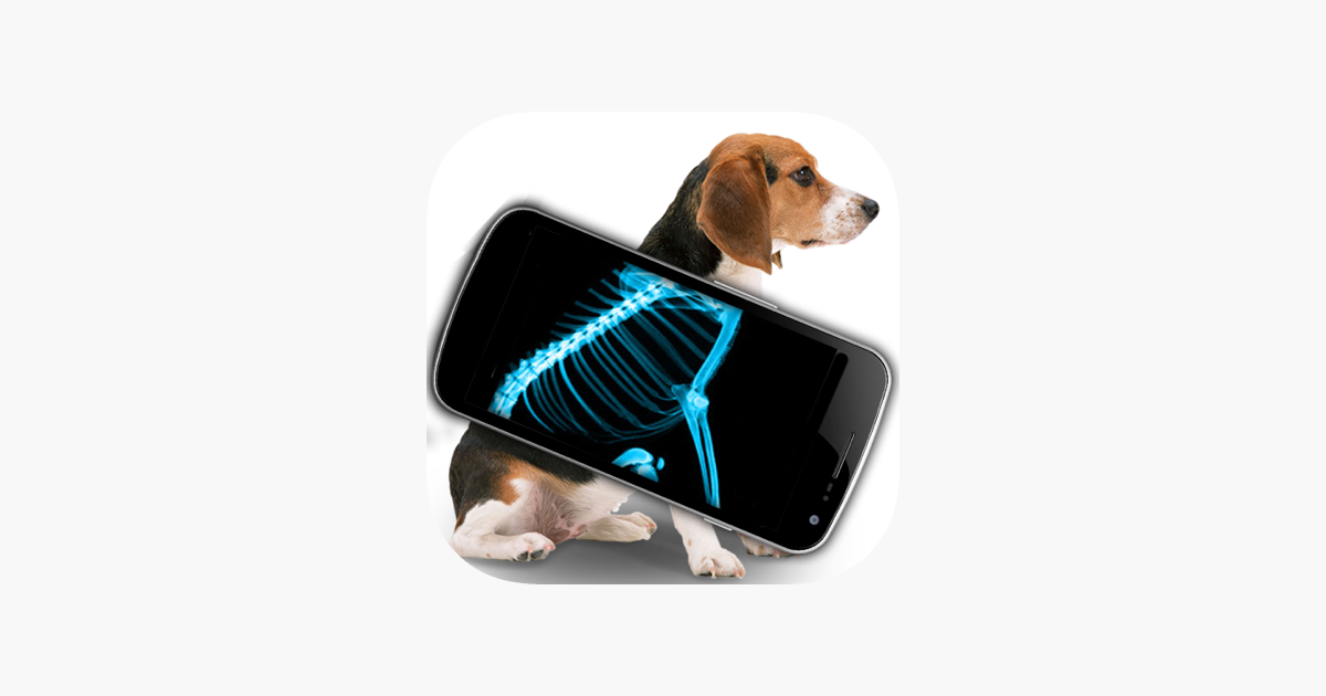 Games like Simulator X-Ray Pet