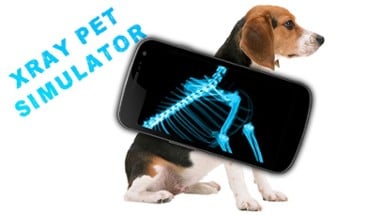 Simulator X-Ray Pet Image