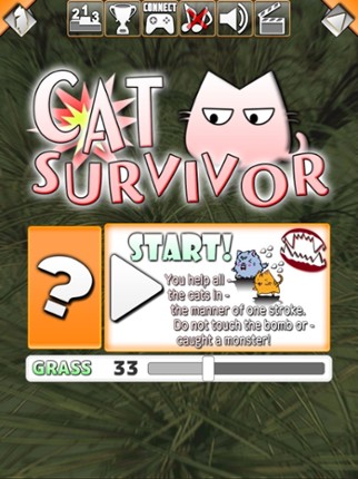 Cat Survivor screenshot