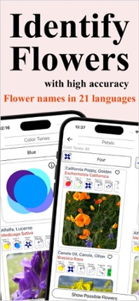 Flower Identification &amp; Garden Image