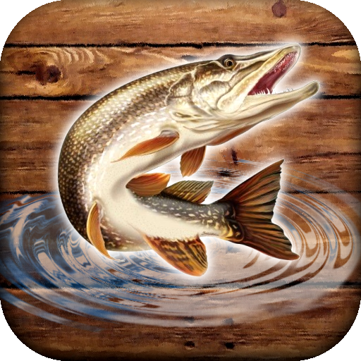 Games like Fish rain: sport fishing