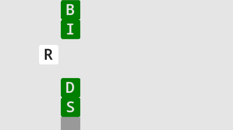 BIRDLE Image