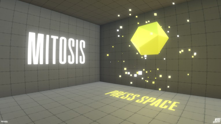 Mitosis Project Image