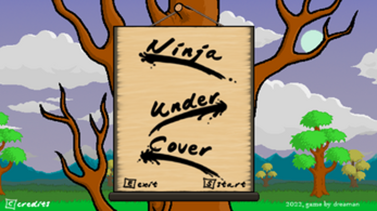 Ninja Under Cover screenshot