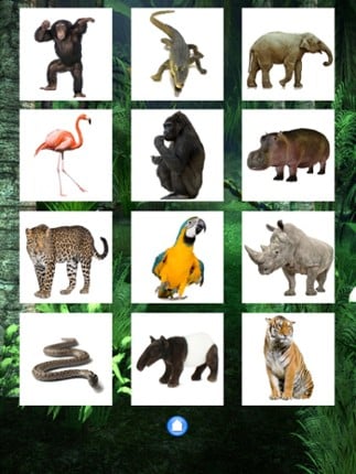 Jungle animals Free screenshot