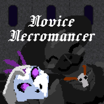 Novice Necromancer Image