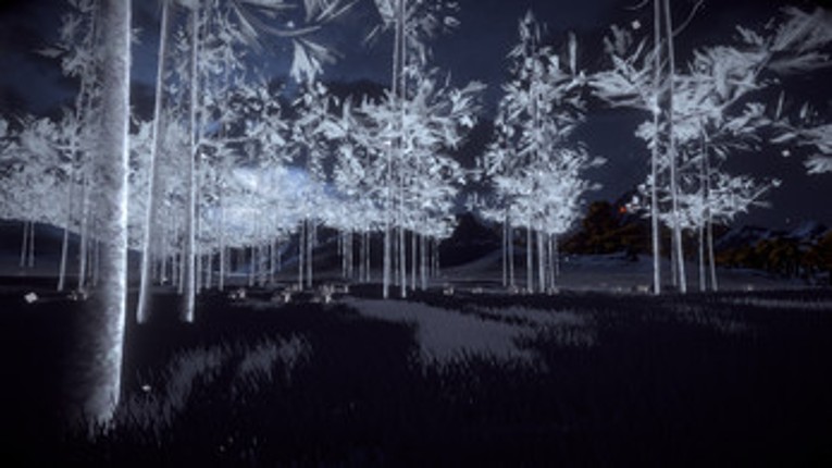 Rootless Image