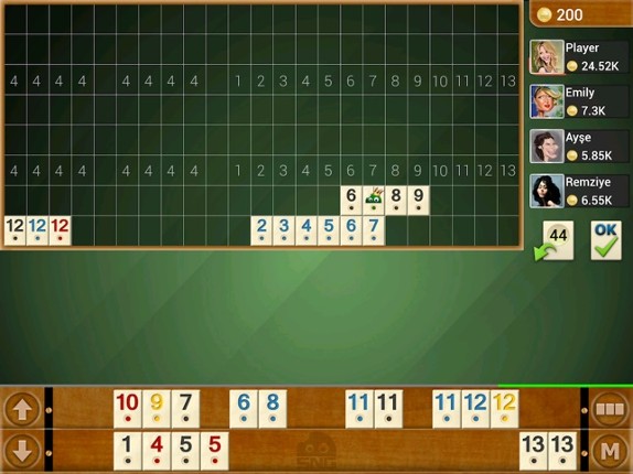 Rummy Offline Image