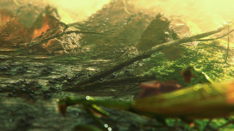 Ants Megapolis screenshot