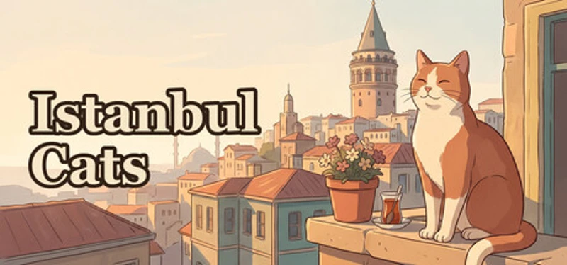 Istanbul Cats Image
