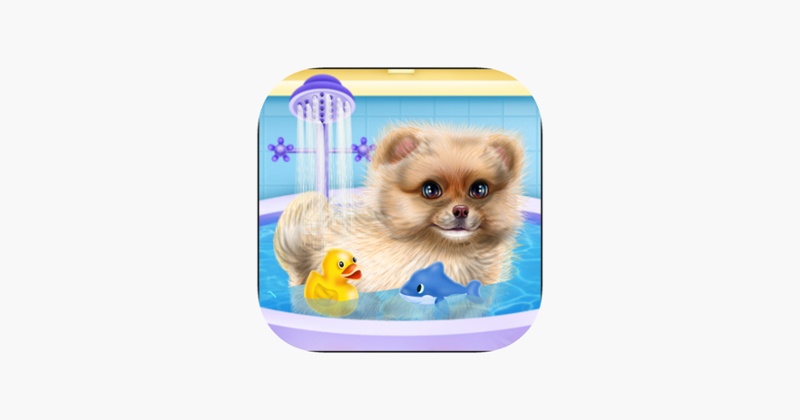 Pomeranian Puppy Day Care Image