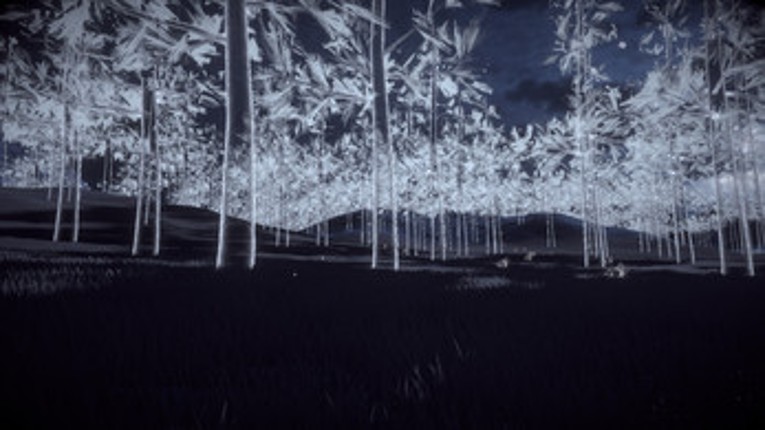 Rootless Image