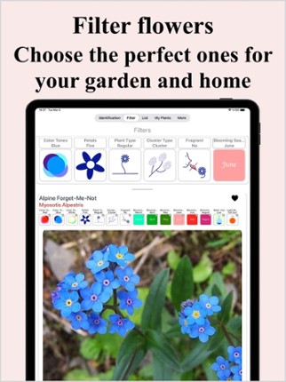 Flower Identification &amp; Garden Image