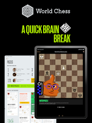 World Chess－Play and Learn Image