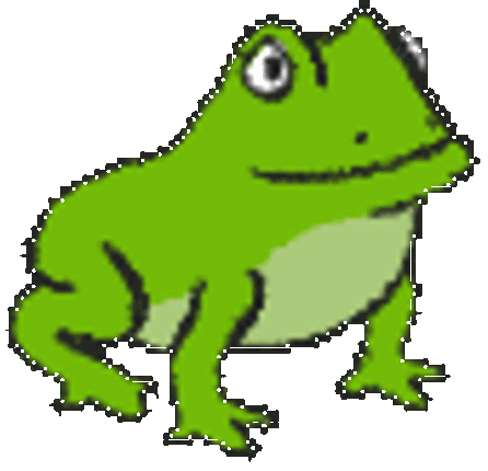 Kikker Image