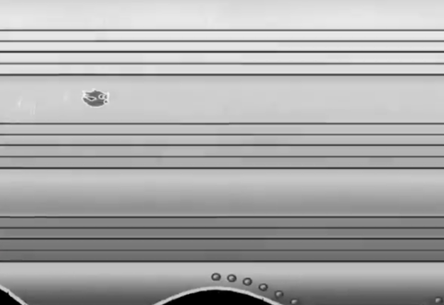 Singing Sparrow Image