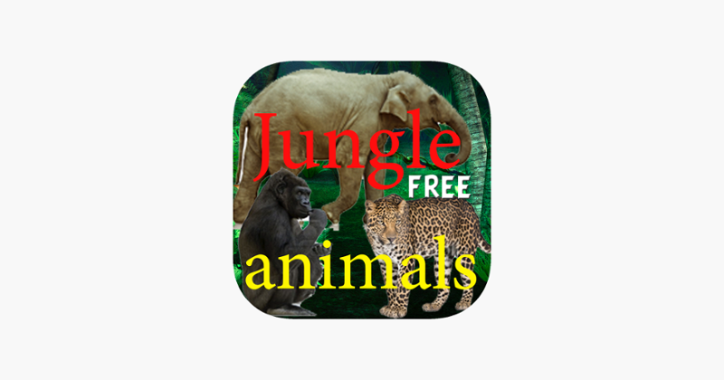 Jungle animals Free Image