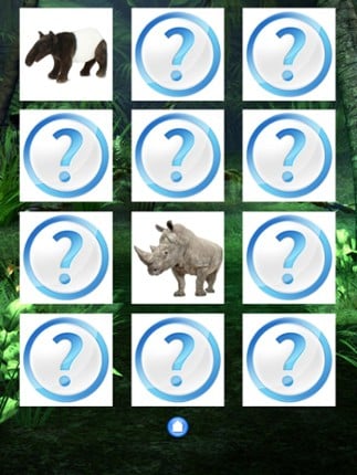 Jungle animals Free screenshot
